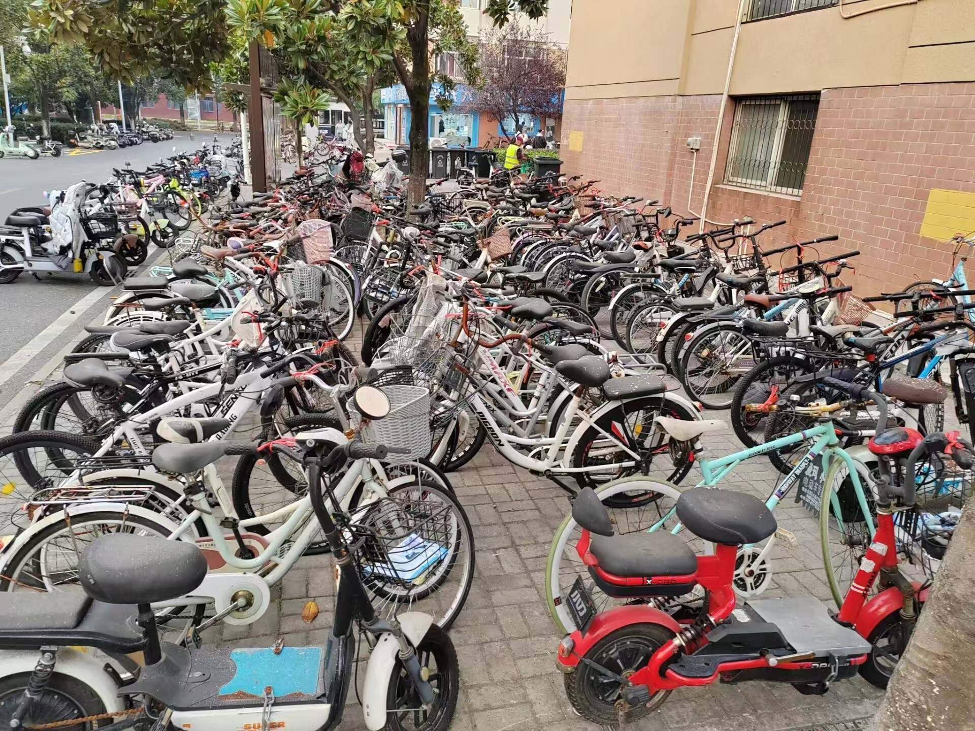 华农学生清理320多辆校园废旧车，为避免误清年后集中处理：预留时间给学生认领