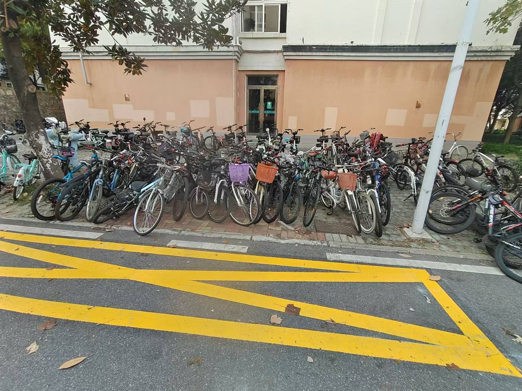 华农学生清理320多辆校园废旧车，为避免误清年后集中处理：预留时间给学生认领
