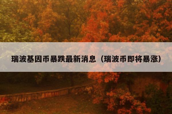 瑞波什么币(瑞波币是干嘛的)
